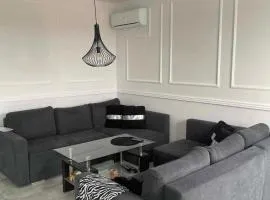 Poli House Premium