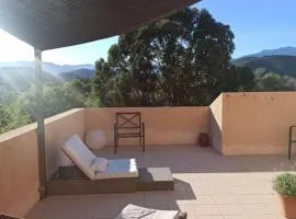 Villa avec grand jardin au centre de St Florent
