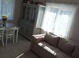 Seosko domaćinstvo Selenić