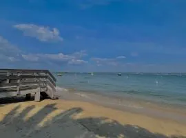 Cabane Claouey, bassin Cap ferret