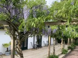 Wisteria Österlen