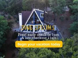 Roots Mountain House Modern A-Frame