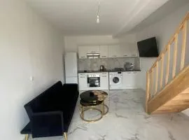 Duplex cosi
