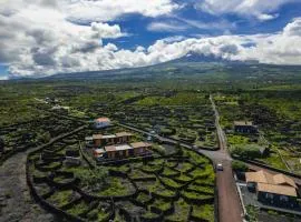 Paraíso do Triângulo
