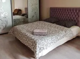 Студия 2 комнаты в центре города