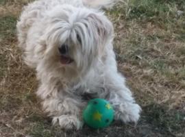 Country View Motel Ilbilbie, Hotel in Ilbilbie