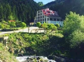 Hotel Green Valley Savsat