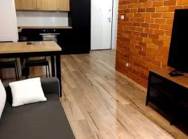 Warsaw Loft Apartment - Grill Terrace on the Roof