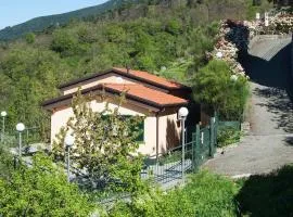 Domus Milli