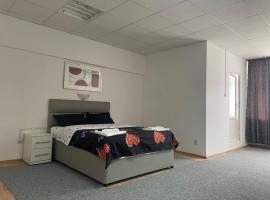 Studio Rentals, hotel v destinaci Onești