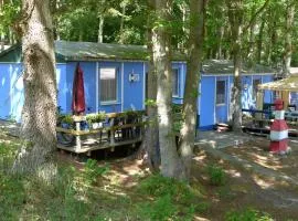 Bungalow Zur Boje, Bgl 19