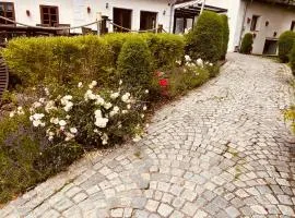 Art Apartments Sievering