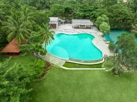 Big Banyan Vineyard & Resort