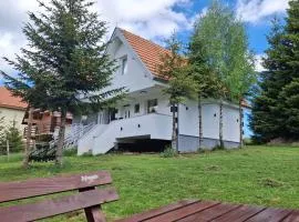 Vila Holiday - Golija