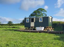 Cosy Shepherds hut in Carmarthen, holiday home in Llanfynydd