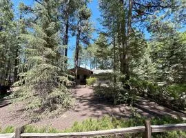 Mountain Travelers Retreat