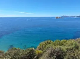 Casa NOAH