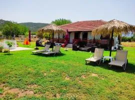 RODAVGI