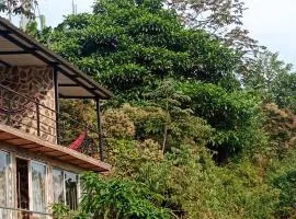 Casa oma