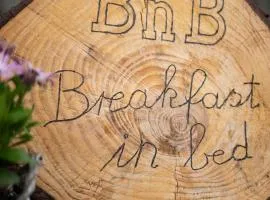 Breakfast in bed