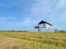 Rumah Burong - A home in a lush paddy field