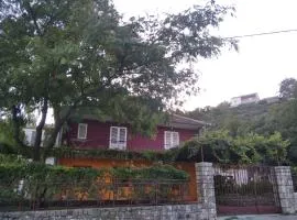 Ananda 2