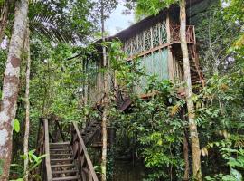 Cabaña en el arbol del Tacana, place to stay in Leticia