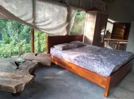 Jungle therapy mayong