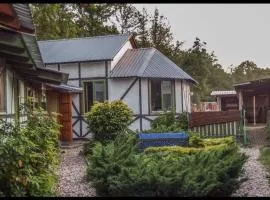 Pokój Paw-puszcza kampinowska