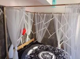 La casa di Zoe