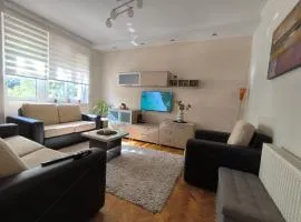Apartman Braun Čačak