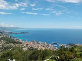 Appartement met uitzicht over Monaco