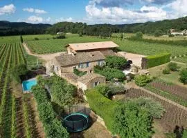 gite de caractere au calme au milieu des vignes avec piscine et jaccuzi