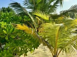 Oi Beach