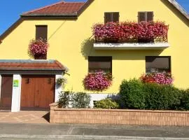 ALSACE Gîte 3étoiles climatisé prox Colmar, Eguisheim, parking, jardin