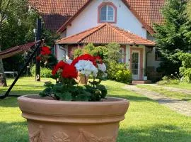Vila EVIO Třeboň