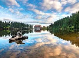 제바흐에 위치한 호텔 Berghotel Mummelsee
