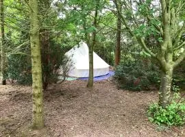 WoodLands Basic Bell Tent