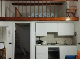 Mantellini 2B