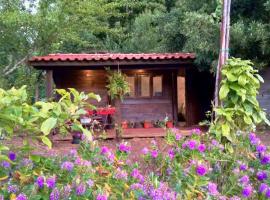 O Cantinho de Coura - a cabana, hotel v destinaci Paredes de Coura