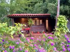 O Cantinho de Coura - a cabana