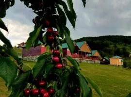 ECO ViLLAGE CORIC