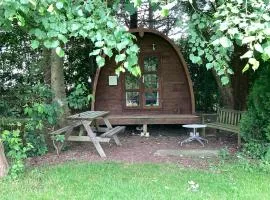 Woodland camping pod with use of campsite bathroom