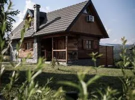 Breza kuća za odmor