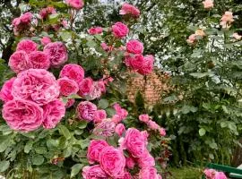 Sarajevo Flower Garden