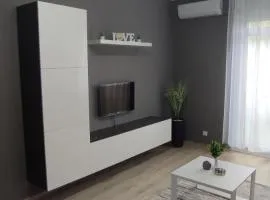 Grey Deluxe Apartman Kaposvár
