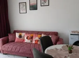 Art Life apartments (Sunset)