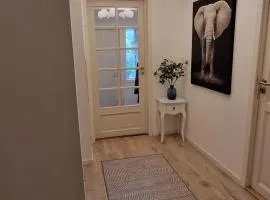 Eidsvåg