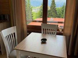 Роси Студио Банско, barrierefreies Hotel in Bansko