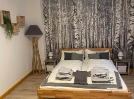Forest Apartment-Forest Escape Menzenschwand, hotel v destinaci St. Blasien